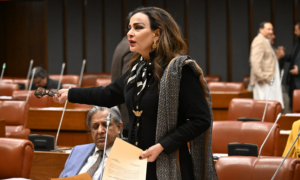 Karachi province controversy sparks Senate uproar as PPP defends Sindh unity, PPP Parliamentary Leader in the Senate, Sherry Rehman